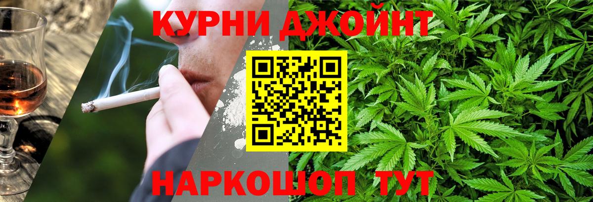 Канабис OG Kush Таганрог